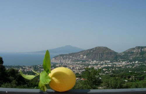 Gli Ulivi Agriturismo - Foto 22