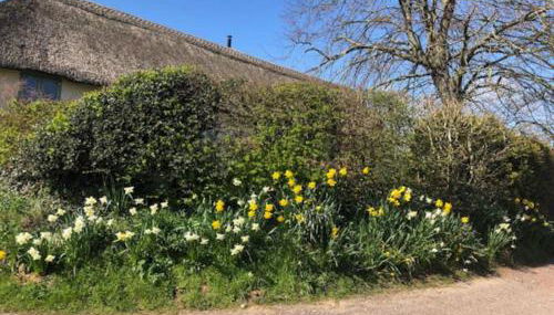 Tranquil Apartment at Ashton - Photo 4