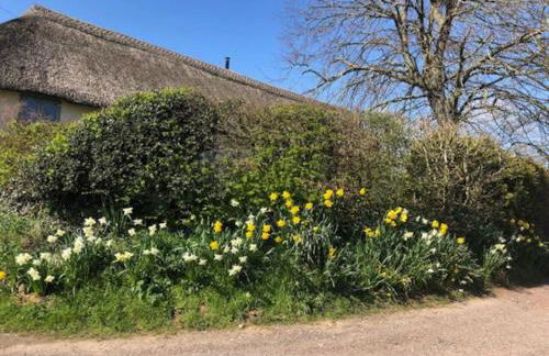 Tranquil Apartment at Ashton - Photo 4