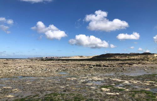 Au cœur du Sénéchal - Foto 43
