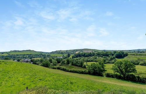 Llwynblyfyn - Photo 32