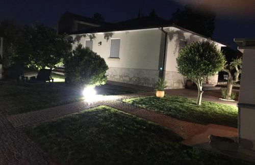 O Eido da Otilia - Photo 43