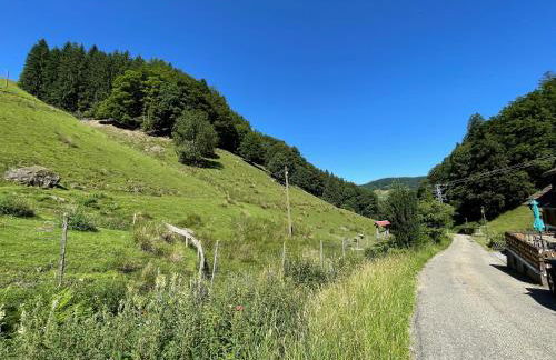 Bauernhaus im Münstertal - Foto 23