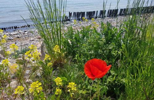 Ferienwohnung "Luv" Grube Ostsee - Foto 39