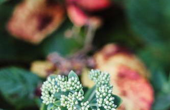 Talblick 5, mit Sauna und wunderschönen Panoramablick NEU - Foto 10