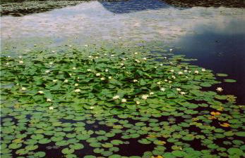 Blar na Leisg, Self catering Lodge 2. - Foto 7