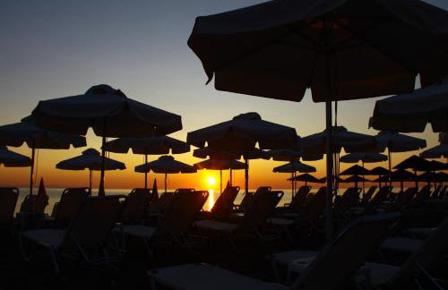 Fasoli Studios - Foto 55