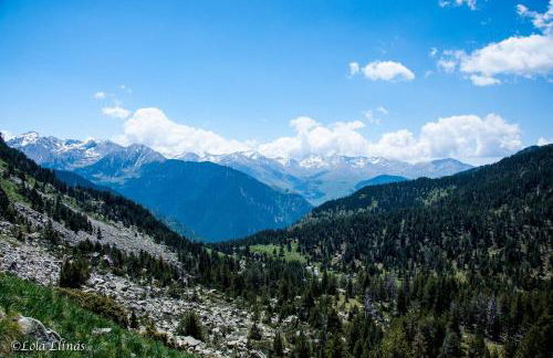 Sisquet Apartaments - Foto 10