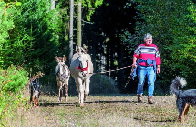 am Schonwasen Comfortable Holiday Residence - Foto 19