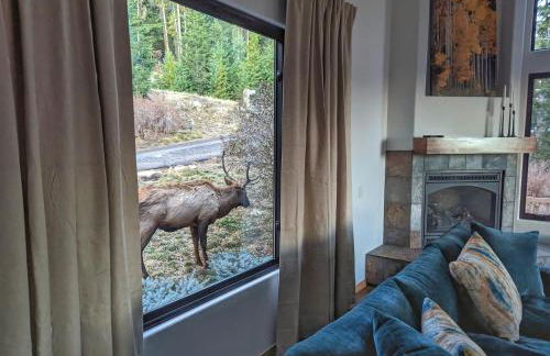 Stay in Evergreen - Denver Mountain Escape - Foto 10