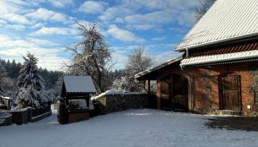 Stajnia Lipowo 45 - Foto 3