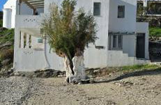 Aside Lefkes - Foto 1