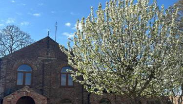 Courtyard House- Luxury Holiday House with floodlit Tennis court - Foto 1, Garden