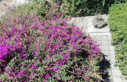 Garden House Pompei Vesuvio - Foto 22