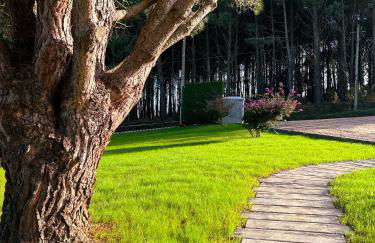 El Pueblín del Pinar - Foto 6