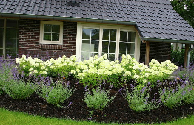 Spa Villa by Salland Forest - Foto 23