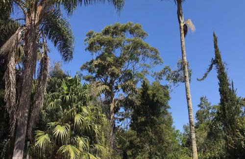 Lindo e aconchegante chalé com piscina, lareira e churrasqueira - Foto 33