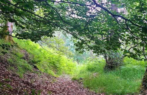 Bijou Cottage in Brontë Country with Wood-burning Stove & Hot Tub Spa - Foto 46