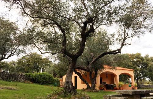 Apartamentos Rurales La Macera **** - Foto 32