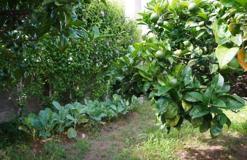 Casa do ti' Marrão - Photo 29