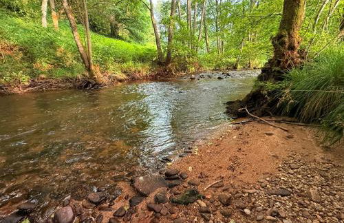 Domaine de la Jasseix - Photo 34