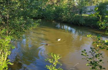 Partout l'étang Montier en der - Foto 11