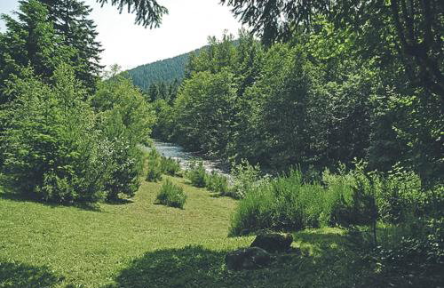 Salmon River Condo #5 - Foto 40