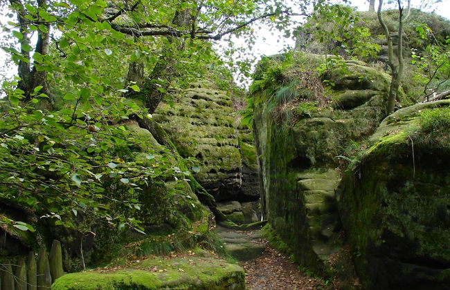 Holiday Home in Saxony With Garden - Foto 14