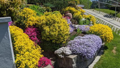 Triberg Blick - Foto 5