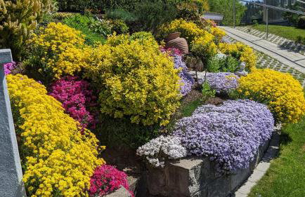 Triberg Blick - Foto 5