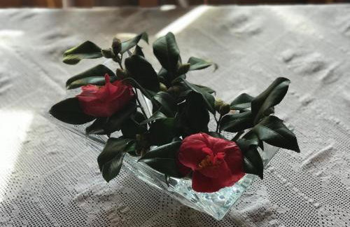 Aegean House - Foto 42