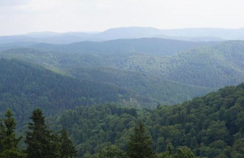 Das-Urlaubszuhause-fuer-Familien-Grossfamilien-Mehrfamilien-und-kleine-Gruppen-bis-zum-12-Personen-mit-vielen-Unterhaltungsmoeglichkeiten-im-Harz - Foto 49