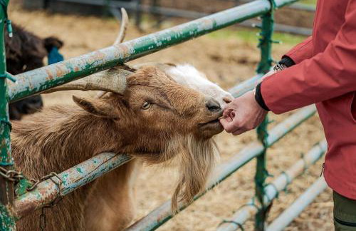 Lakefront Cottage Fully Equipped with Excellent Location in Saint Croix Falls, Wisconsin - Foto 21