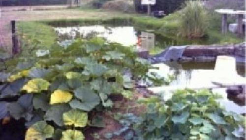 Apartment Appartement in Meiersberg mit Grill by Interhome - Foto 4