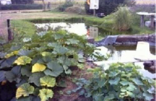 Apartment Appartement in Meiersberg mit Grill by Interhome - Foto 4