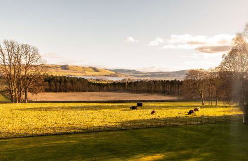 Errol Park - Grand Stately Home & Views - Photo 76