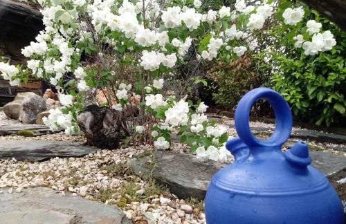 La Era de la Tía Donata - Foto 13