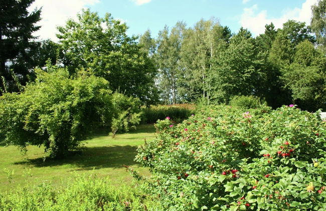 Holiday Home in Froidchapelle With Garden - Foto 59