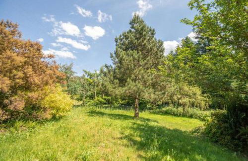 Le Chant du Ruisseau SPA - Sauna - Foto 28