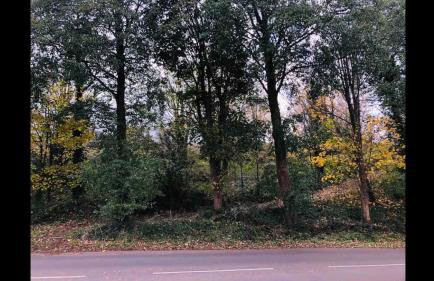 Ffau Bach - Little Den - Foto 29