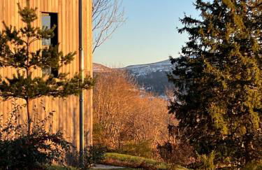 L'Avancée Chalet contemporain au coeur du Sancy AUVERGNE - Foto 10