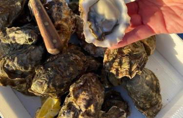 Oyster Lodge - Foto 22