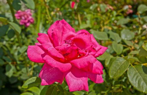 Villa Karisma - Foto 35