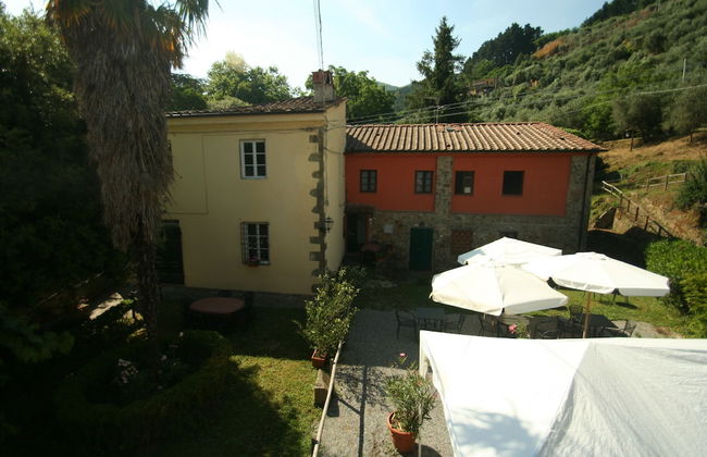 Fattoria Gambaro di Petrognano - Foto 57