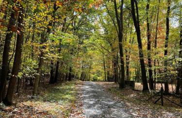 Cozy Log Cabin Near Ski Area and Lake including Hot Tub - Foto 11