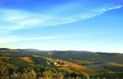 Wine Resort Dievole - Foto 25