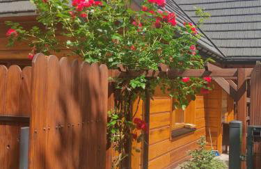 Sielsko-Anielsko centrum - Foto 47