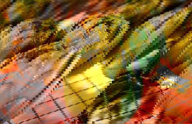 Inspiramar - Foto 28