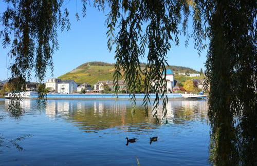 Alte Schmiede zu Trarbach - Foto 61
