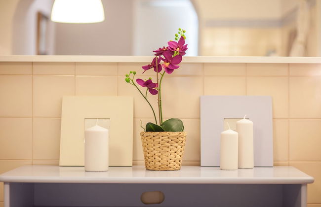 Monte do Zambujeiro - Foto 25